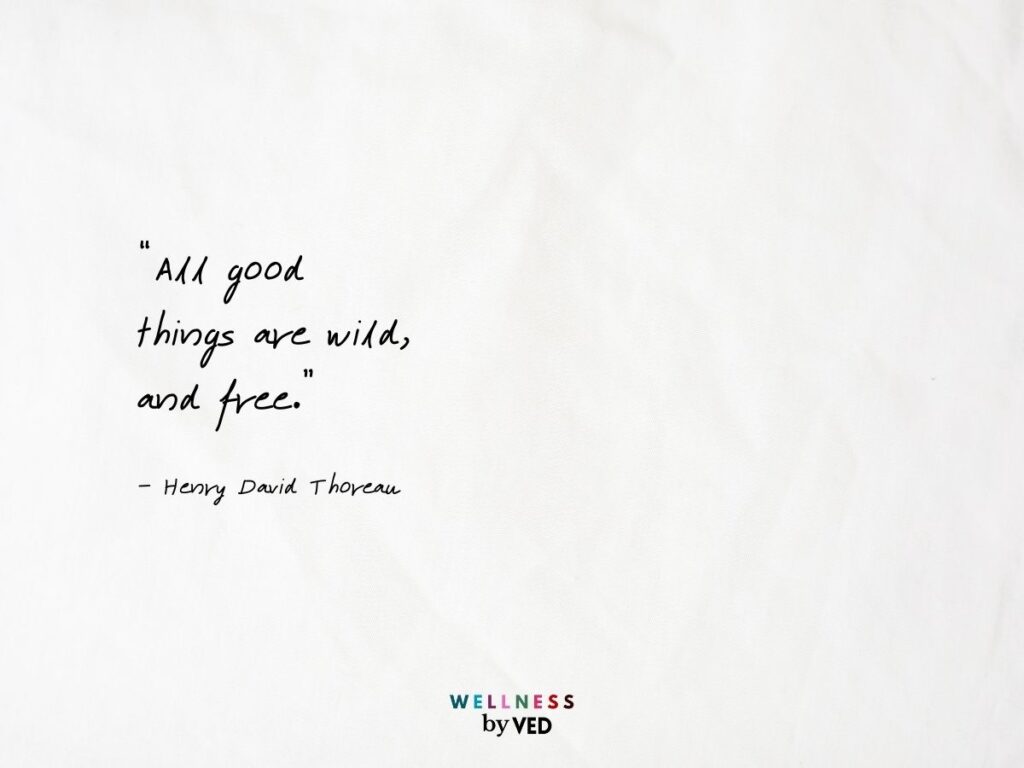 henry david thoreau quotes