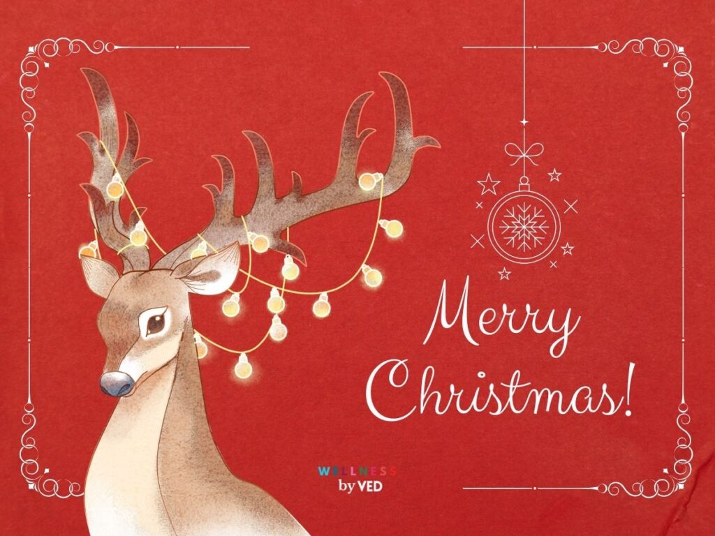 merry christmas wishes