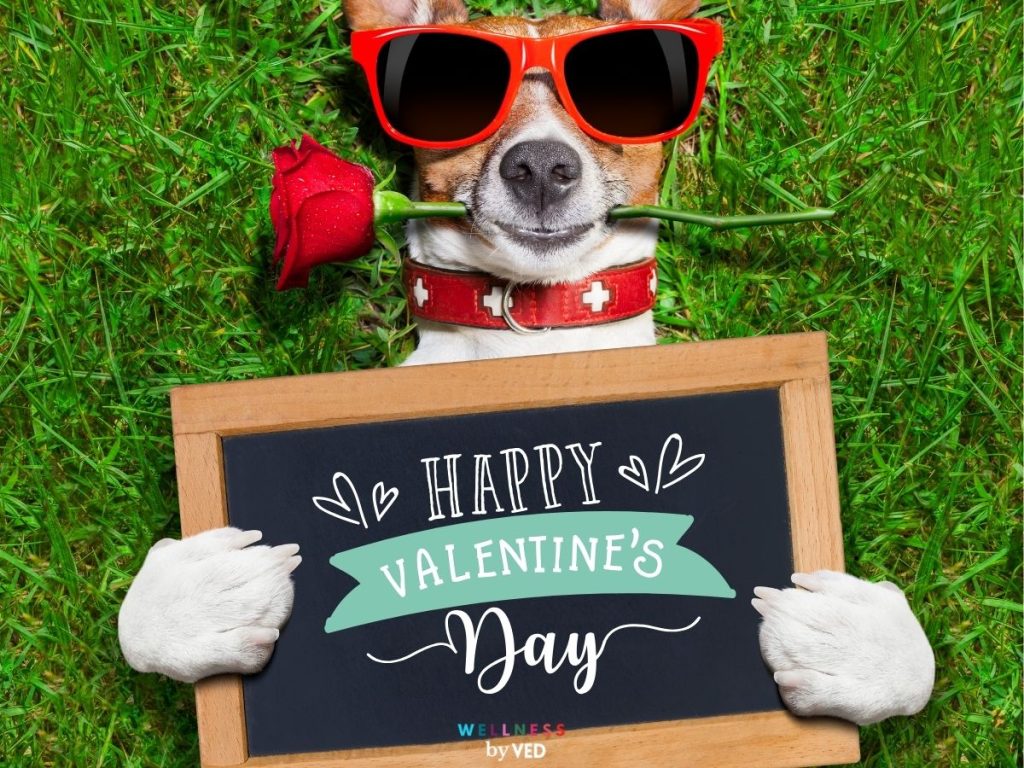 100+ Happy Valentines Day Images, Messages & GIFs!