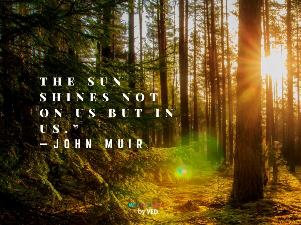 Father of the National Park—60+ John Muir Quotes!