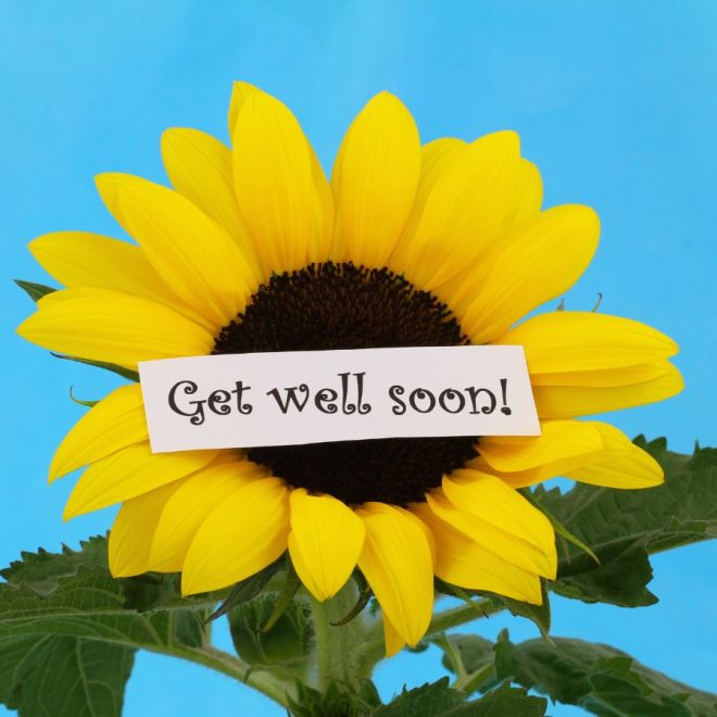 40+ Get Well Soon Images with Messages!
