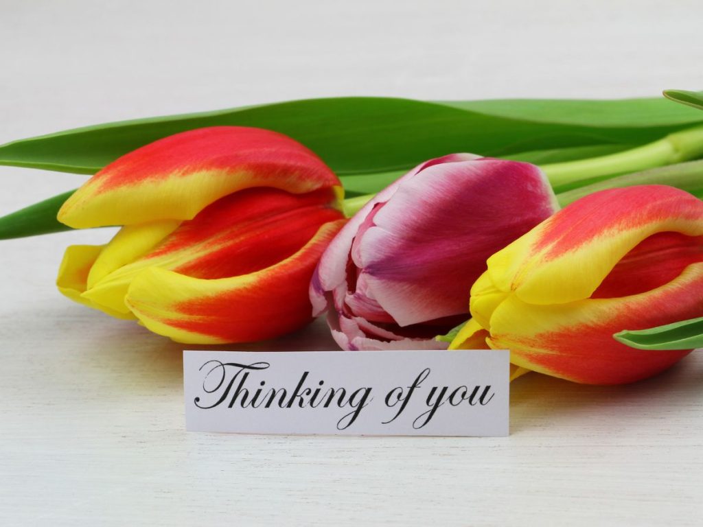 40+ Best Thinking of You Images​ with Messages