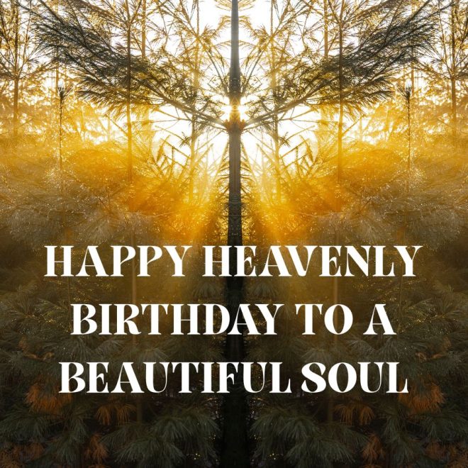 30+ Happy Heavenly Birthday Images​ & Messages!