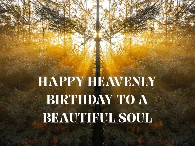 Happy heavenly birthday to a beautiful soul