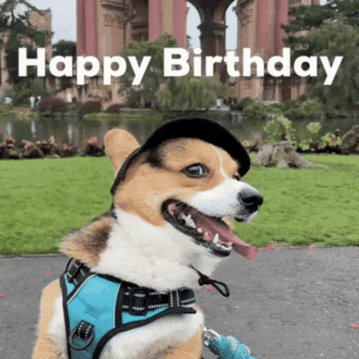 Happy birthday friend gif