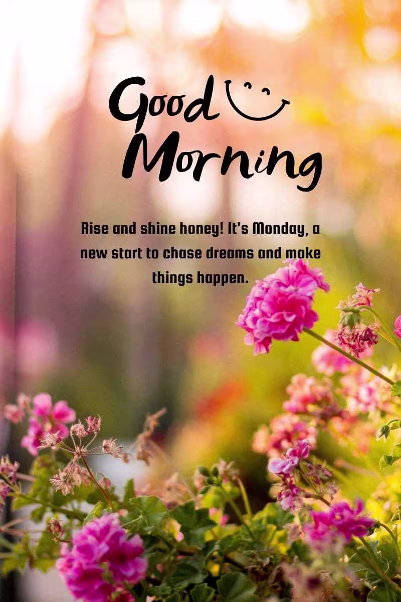 good morning monday