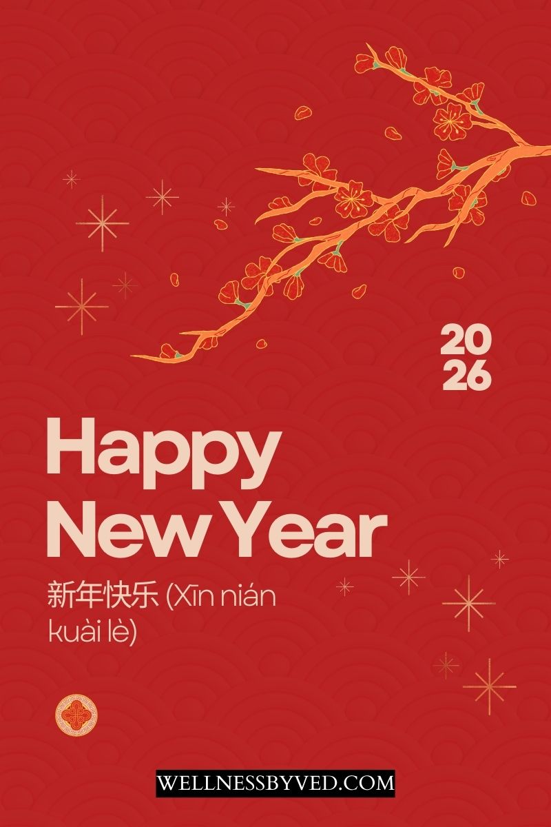Happy new year in chinese 